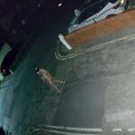 Un hombre desnudo equipado con una máscara sadomasoquista paraliza por las noches esta ciudad británica