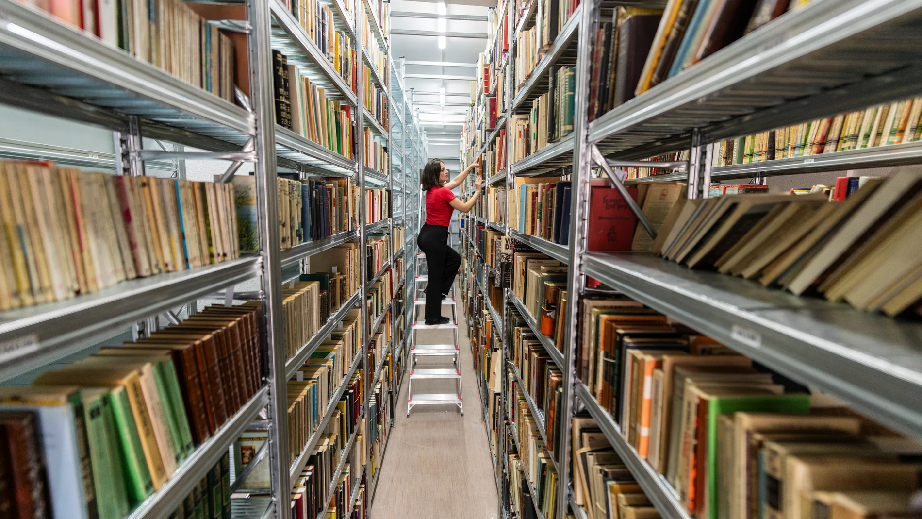 reportaje en Librería Alcaná