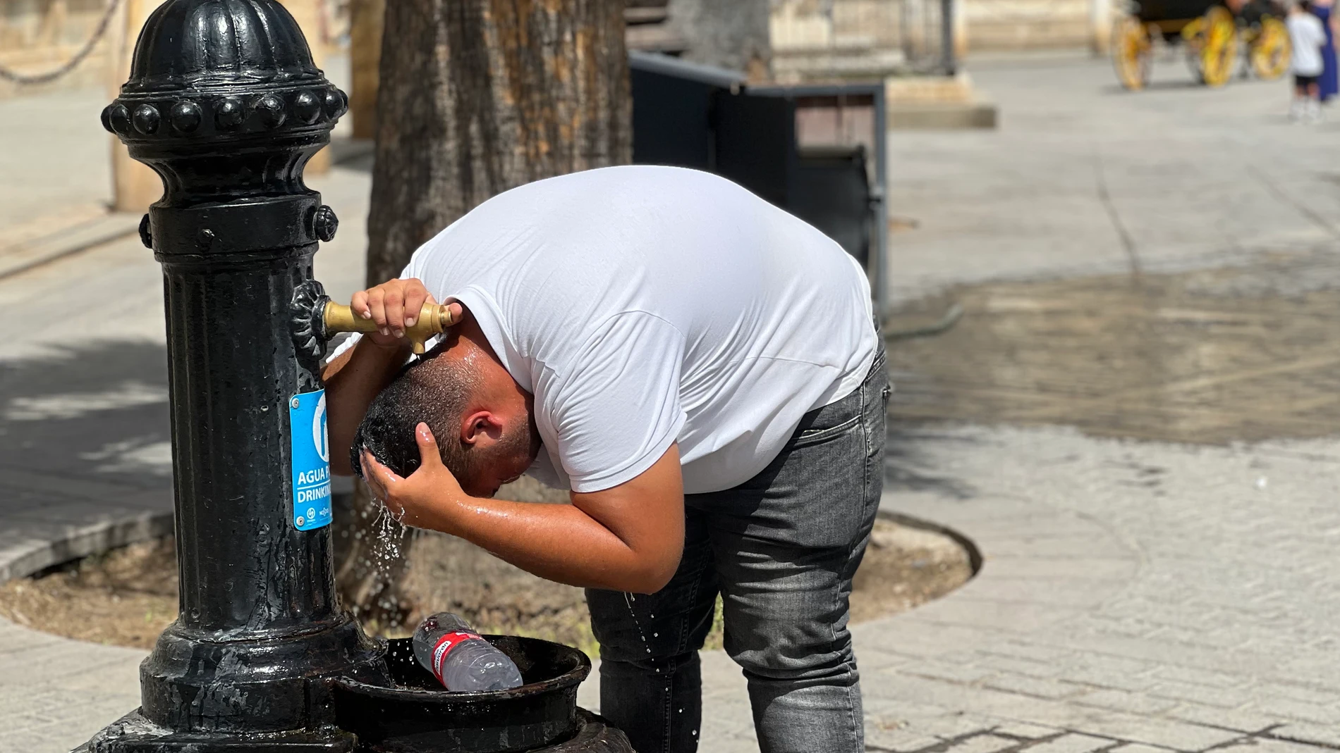 SEVILLA, 05/08/2025.- Un hombre se refresca en una fuente en Sevilla este martes. Las temperaturas máximas registradas el segundo día de la ola de calor en España se repartieron el lunes por el sur de Galicia y Valles del Guadalquivir, Guadiana y Tajo, con valores que se aproximaron a los 43 grados, según ha informado este martes la Agencia Estatal de Meteorología (Aemet). EFE/Roberto Ruiz Oliva