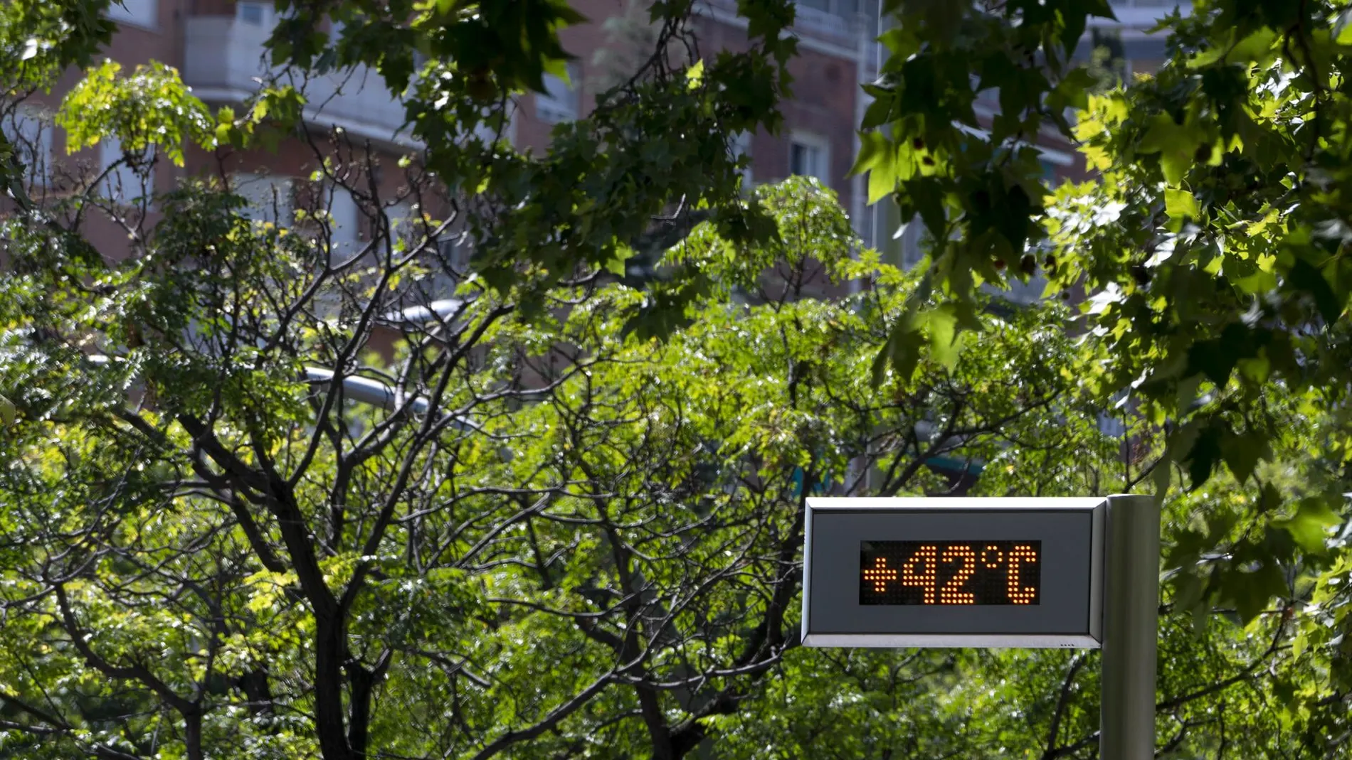 Las temperaturas se situarán por encima de los 42ºC en varias partes de España