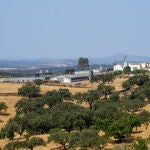 Pacheco visita una explotación de ganadería extensiva en el Cerro de Andévalo (Huelva) 