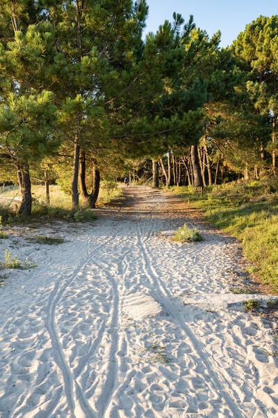 Camino de arena