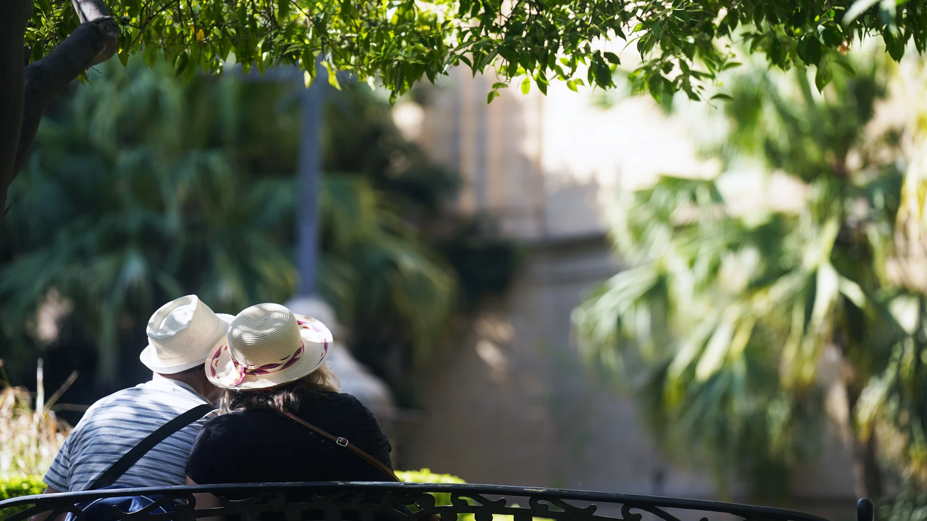 La ola de calor se asienta en Castilla y León