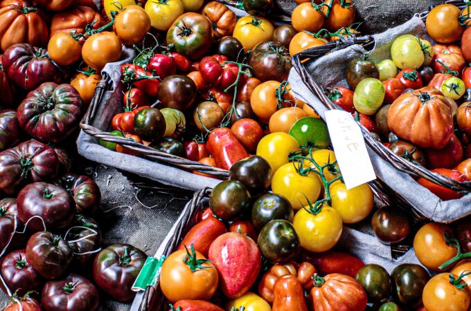 Diversas variedades de tomate