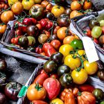 Diversas variedades de tomate