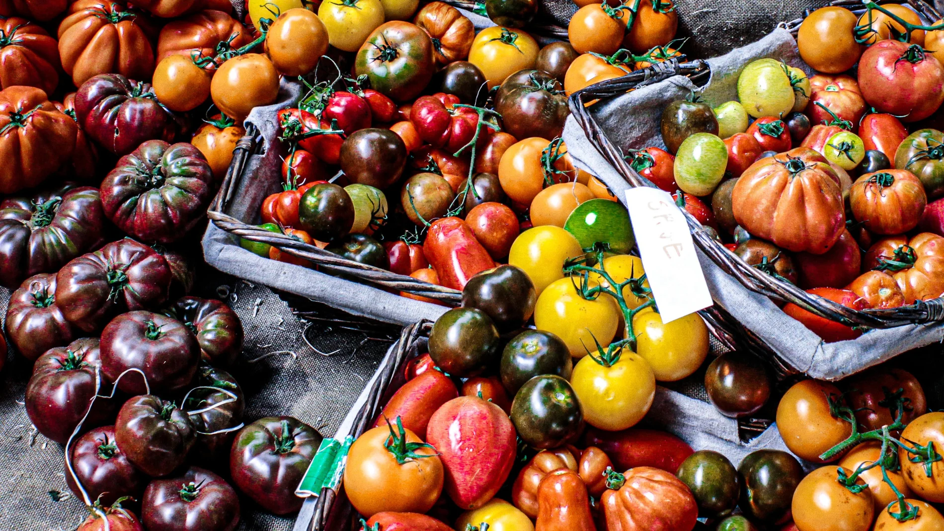 Diversas variedades de tomate