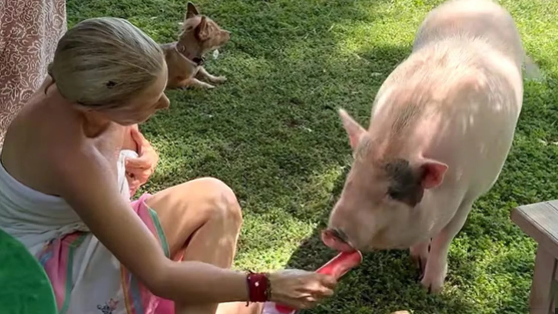 Eugenia Martínez de Irujo consintiendo a su cerdo Gordi