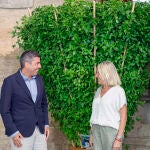 Mazón recibe la tradicional ‘alfàbega’ por la fiestas de Bétera (Valencia)