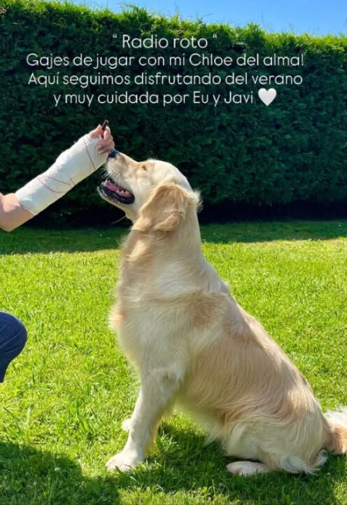 Story de Paloma Lago con su perra Chloe