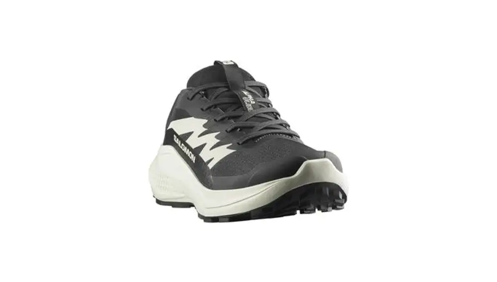 Salomon Alphaglide