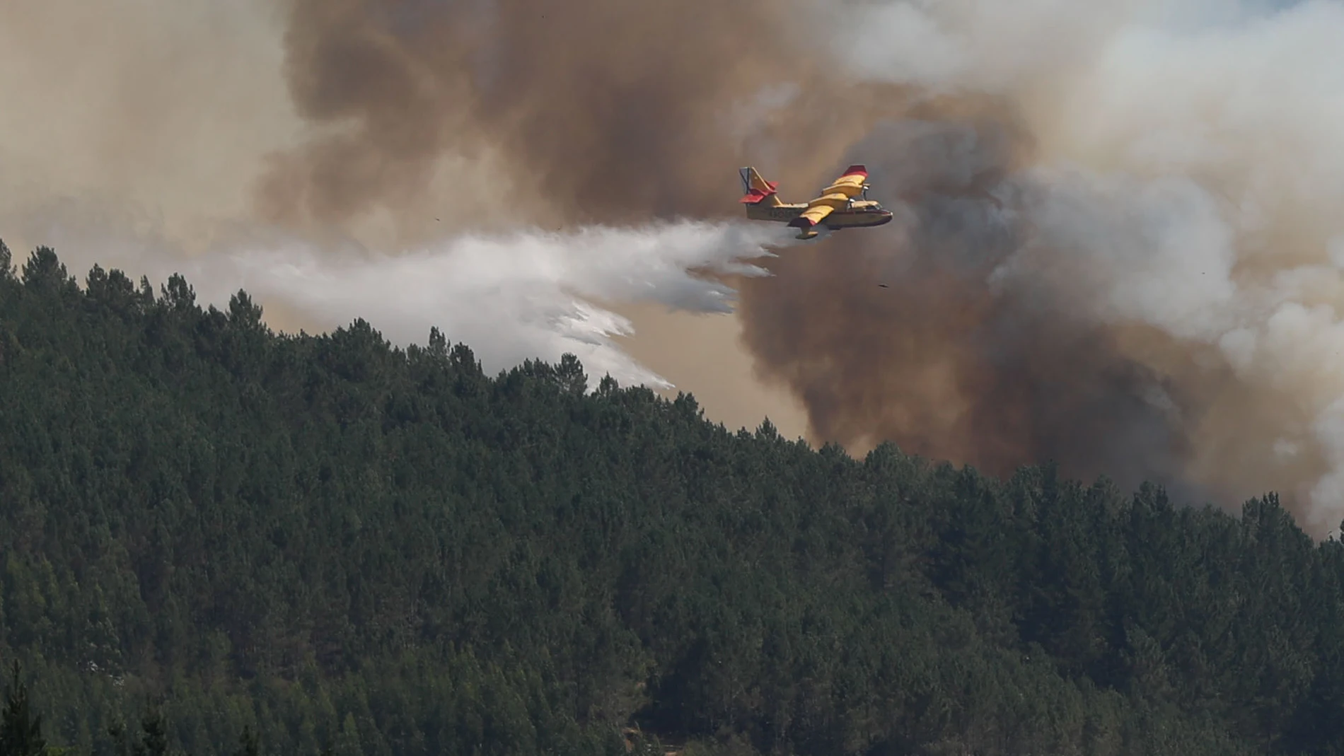 FOTODELDÍA A FONSAGRADA (LUGO), 06/08/2025.- Un hidroavión arroja agua sobre el incendio en la parroquia de Cuiña, perteneciente al municipio lucense de Fonsagrada, este miércoles. EFE/ Eliseo Trigo