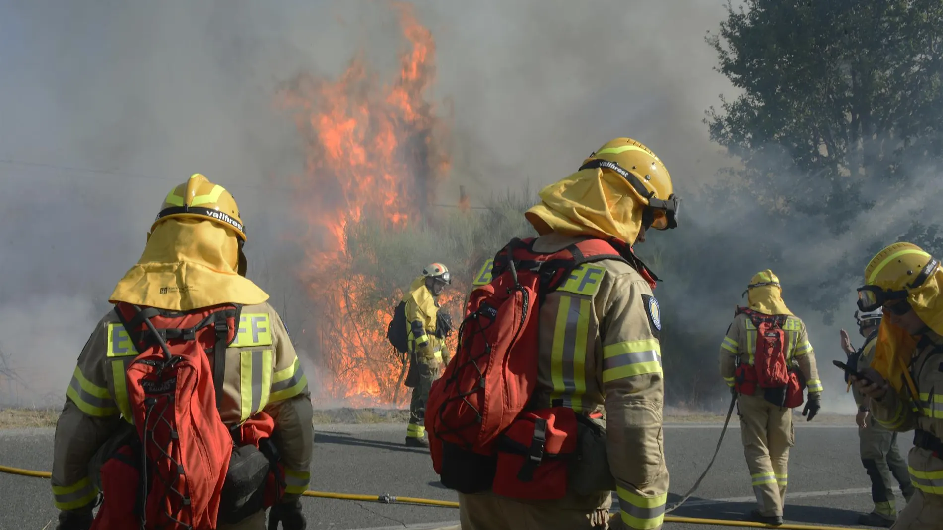 Sucesos.- Detienen al presunto autor de varios incendios en Ourense tras sorprenderlo cuando provocaba uno el martes