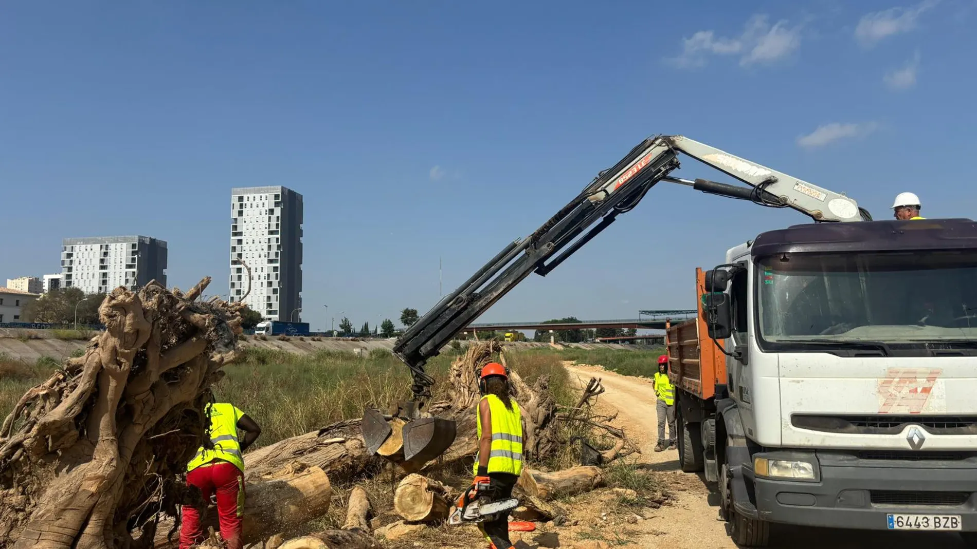 Valencia inicia la limpieza del cauce del río Turia
