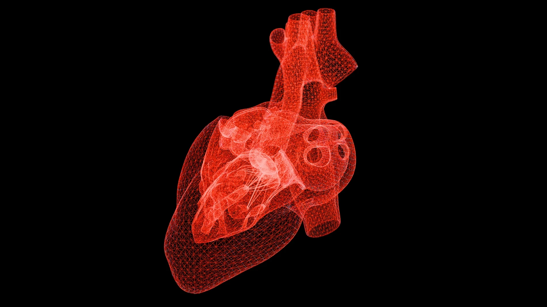 corazón anatómico hecho con bits imagen digital