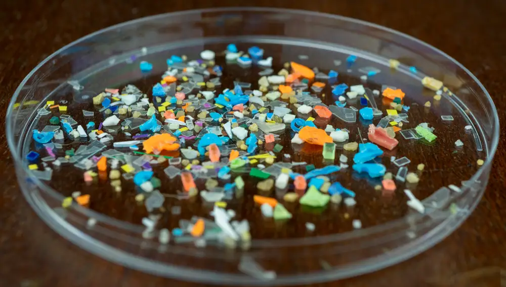 Microplásticos en la playa