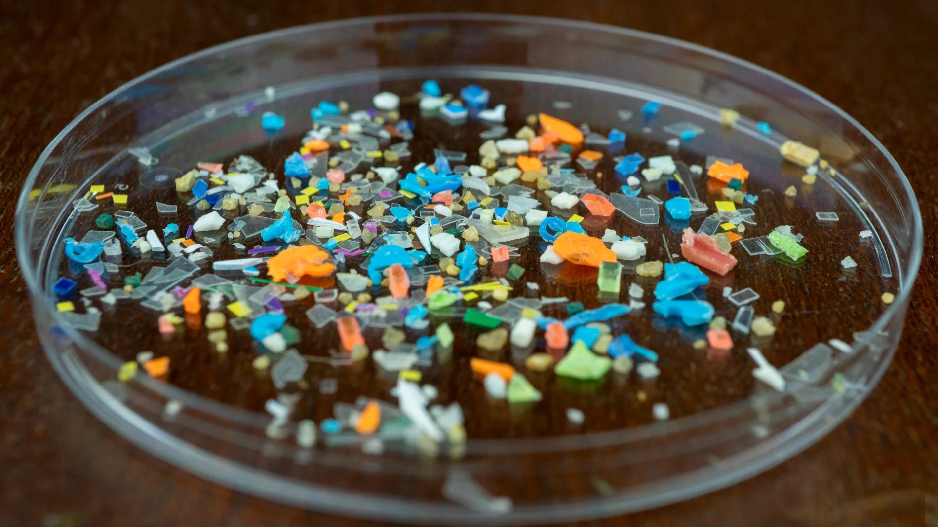 Microplásticos en la playa