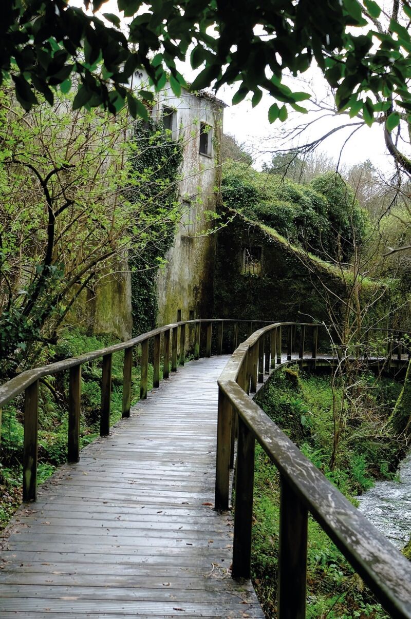 Paseo sobre el río Sarela