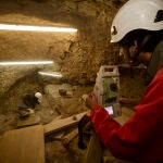 Describen un nuevo caso de canibalismo neolítico en Atapuerca sin indicios de rituales