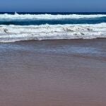 Nueve playas vizcaínas continúan con presencia de medusas este jueves