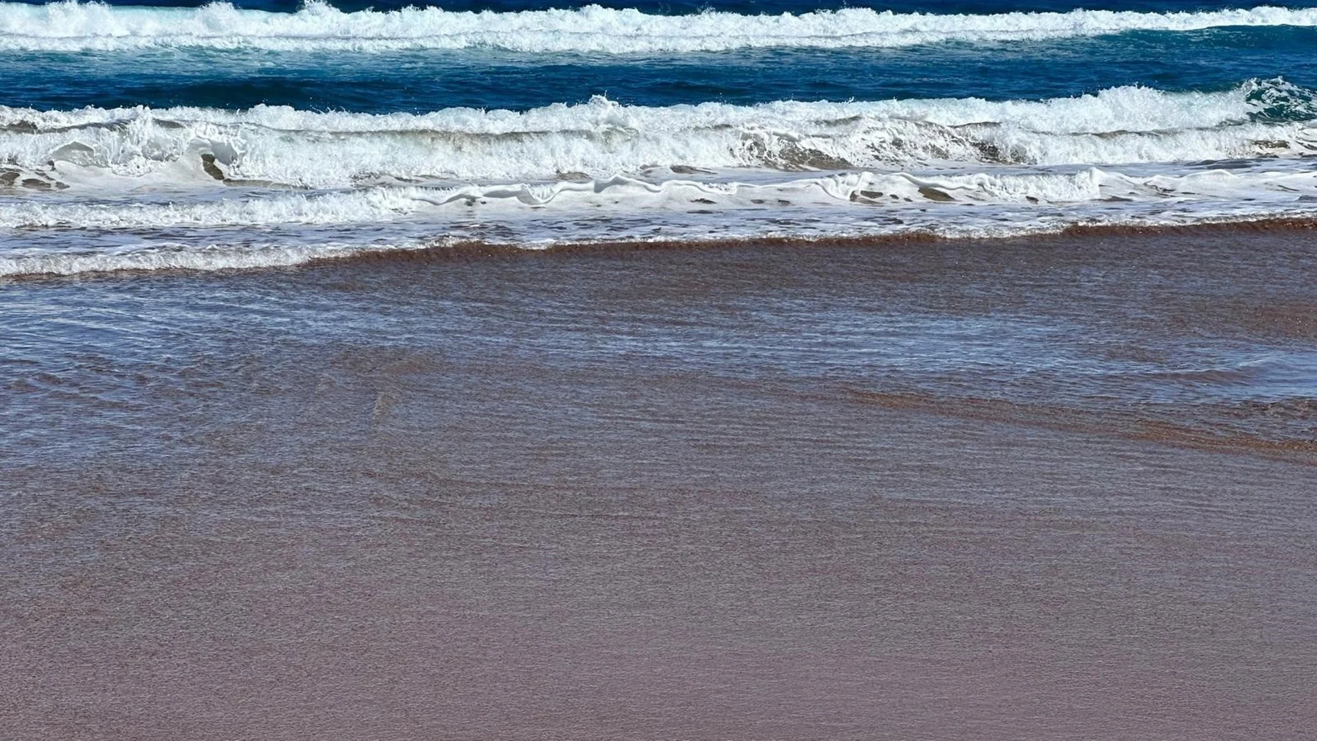 Nueve playas vizcaínas continúan con presencia de medusas este jueves