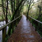 Estos son tres paseos urbanos que te robarán el corazón en Galicia