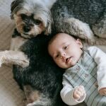 Bebé y perro 