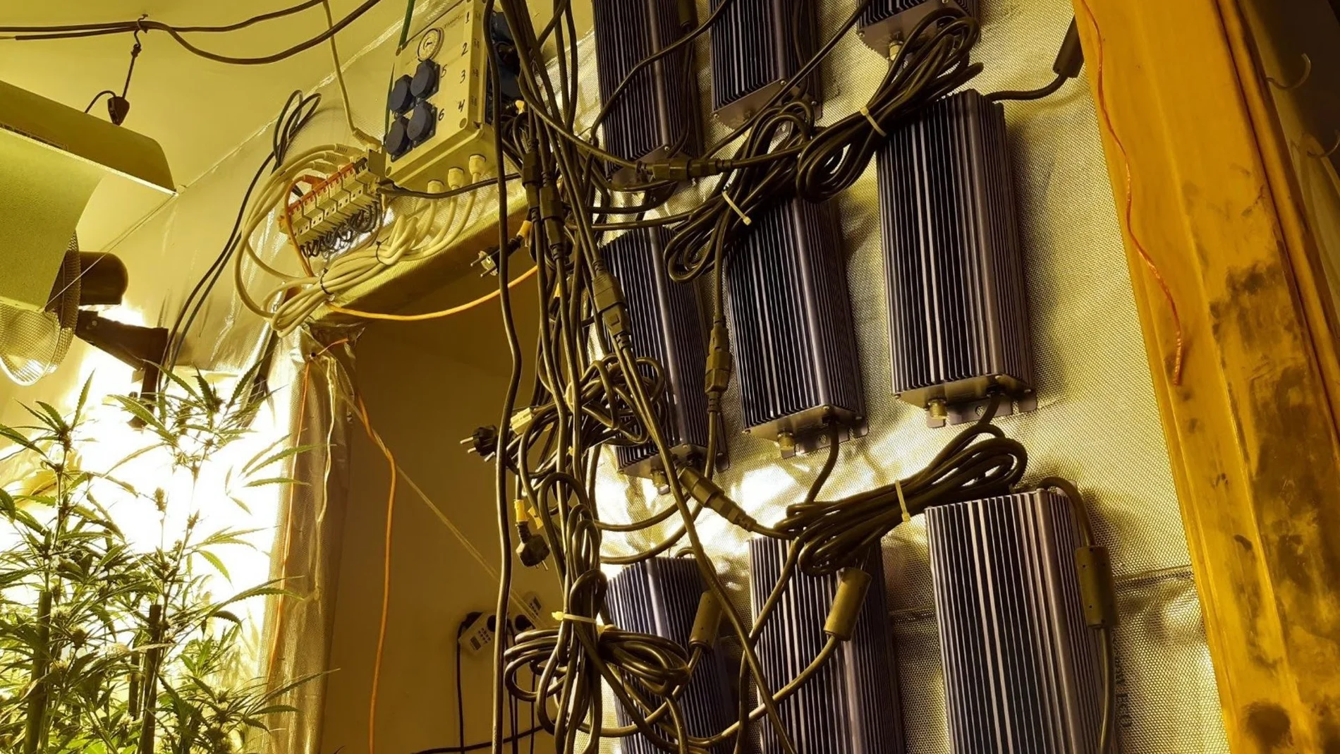 Economía/Energía.- Endesa detectó más de 175 fraudes eléctricos al día en el primer semestre del año