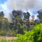 Incendio forestal continúa propagándose en el sur de Francia