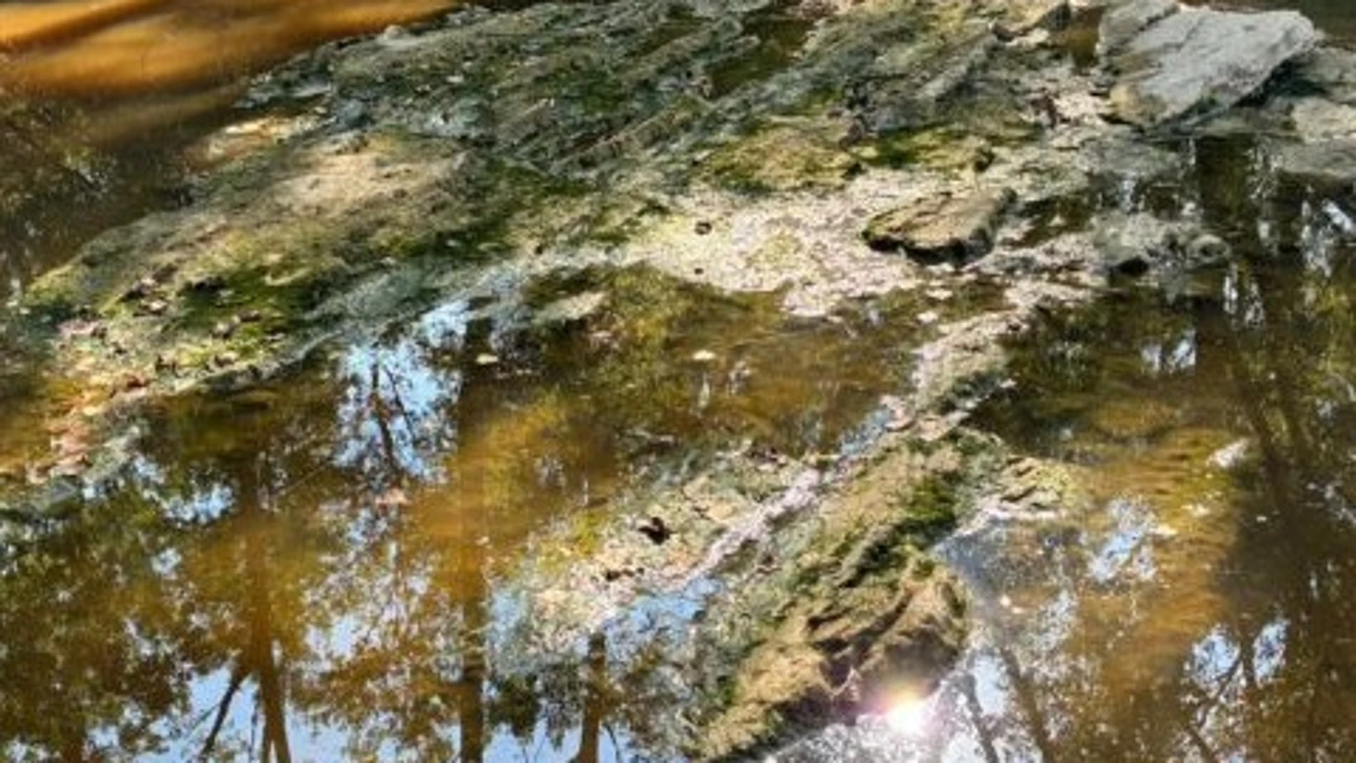 Río Bayas en Miranda de Ebro