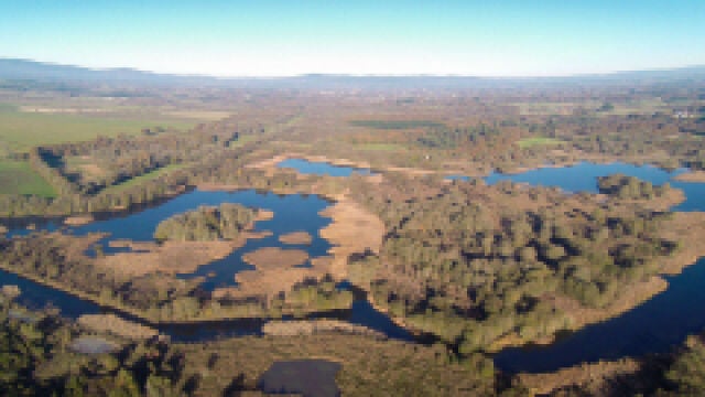 Laguna de Cospeito