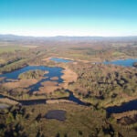 Laguna de Cospeito