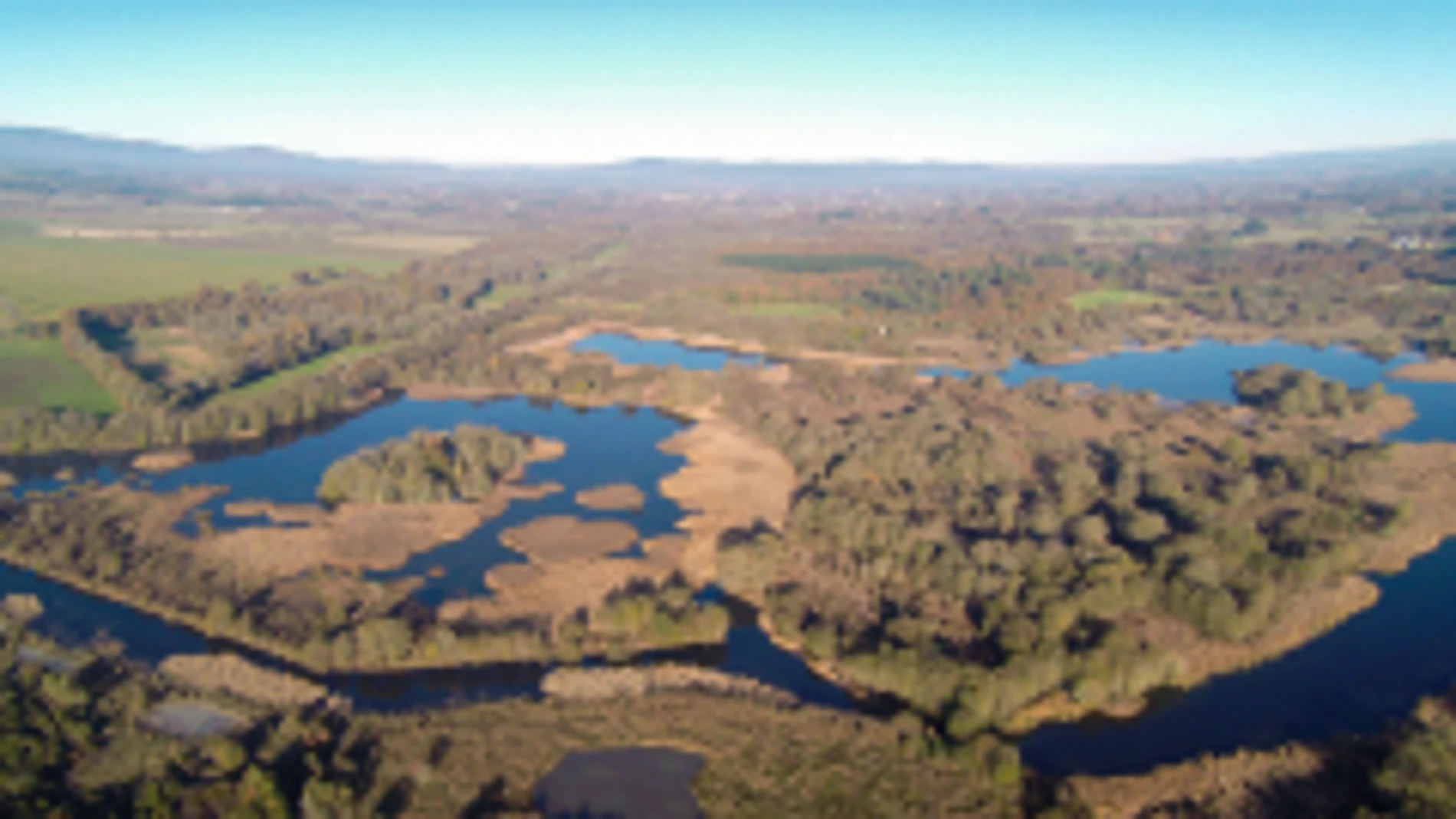 Laguna de Cospeito