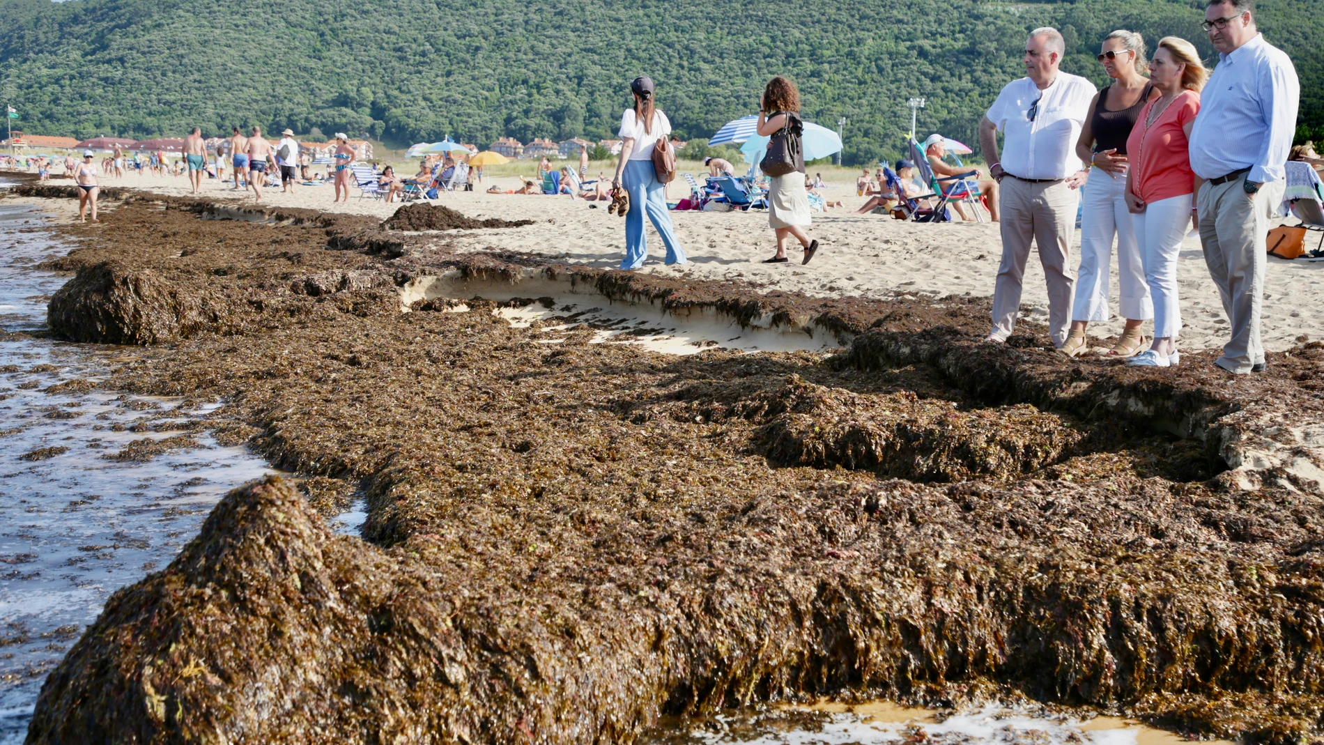 NOJA (CANTABRIA), 09/08/2025.- El Gobierno de Cantabria ha retirado 200 toneladas de algas asiáticas ('Rugulopteryx okamurae') de las playas de Noja (Cantabria) con un operativo de emergencia que desplegó este viernes y que continuará trabajando para intentar que este domingo "vuelvan a mostrar una imagen adecuada". EFE/Gobierno de Cantabria SOLO USO EDITORIAL/SOLO DISPONIBLE PARA ILUSTARR LA NOTICIA QUE ACOMPAÑA (CRÉDITO OBLIGATORIO)