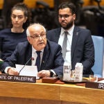UN Security Council