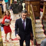 Pedro Sánchez, en el Congreso de los Diputados