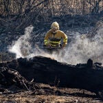 Situación "favorable" del incendio de Ávila, que sufre reactivaciones durante la noche