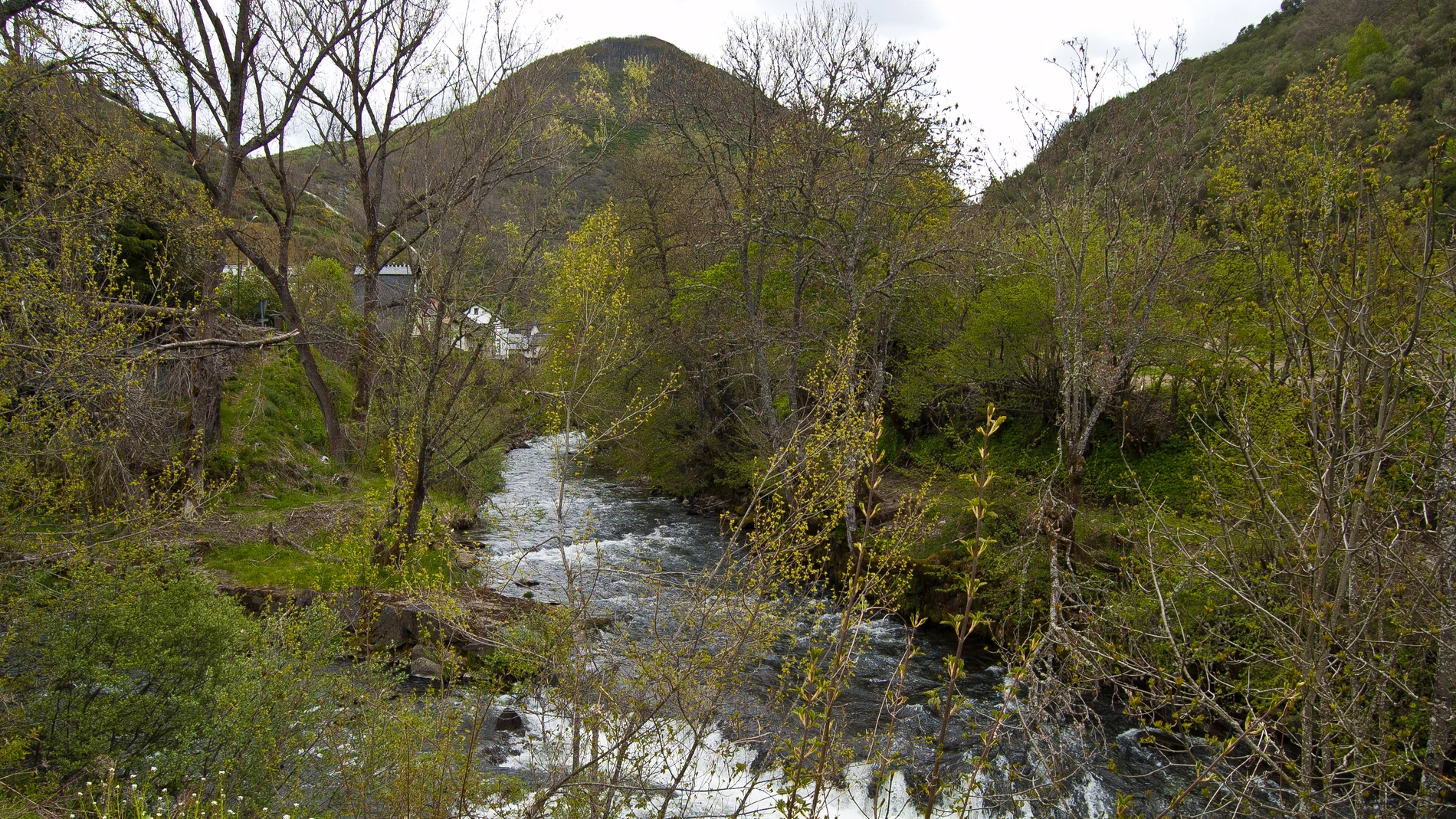 El agua que dará origen a este proyecto nace en Rioscuro , un enclave natural virgen, que hasta ahora no había sido explotado industrialmente.