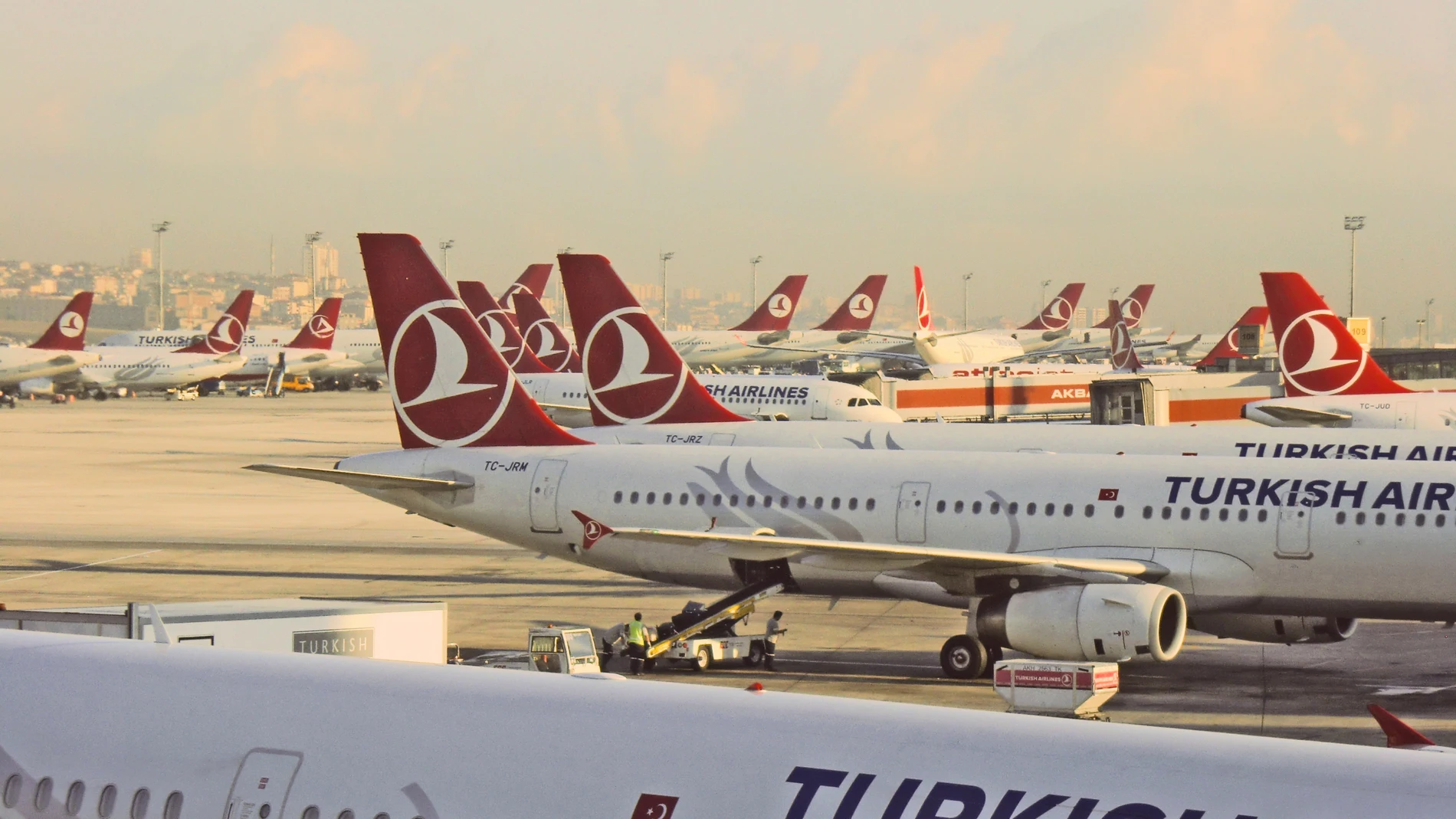 Turkish Airlines jets at Istanbul Airport.