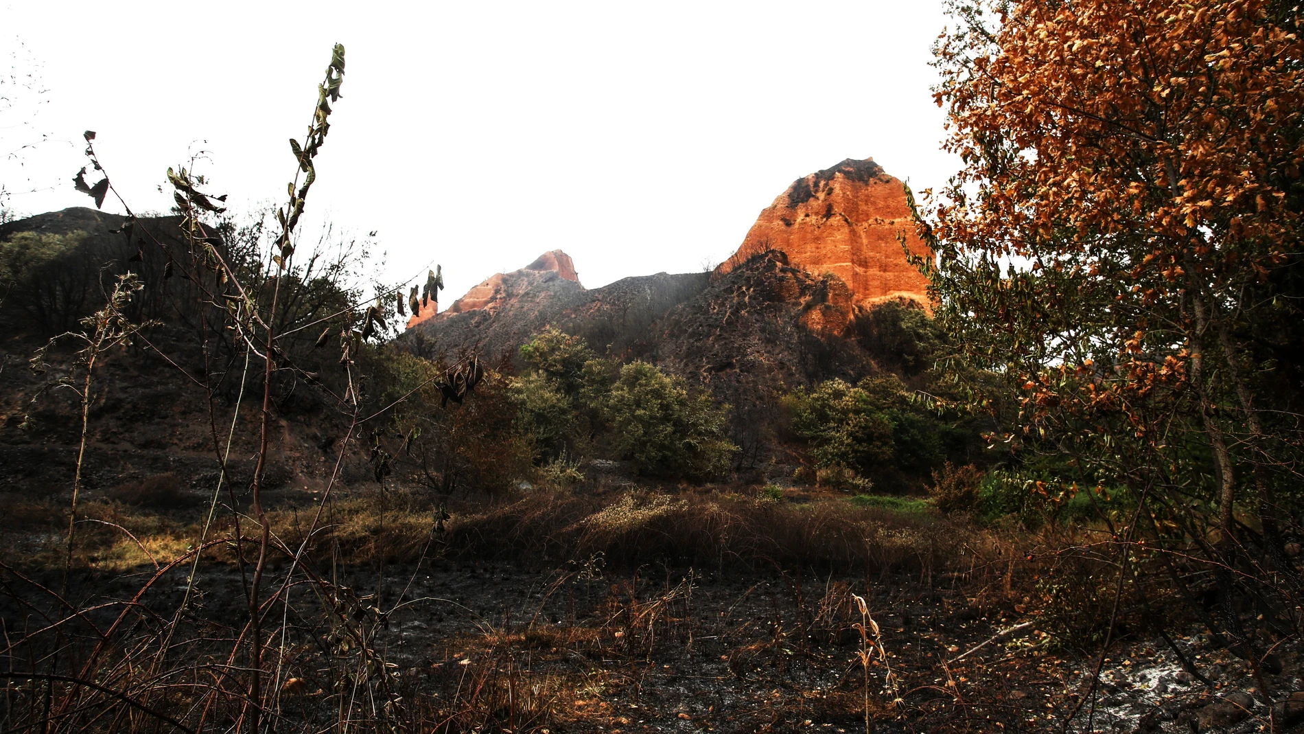 LAS MÉDULAS, 12/08/2025.- Paraje quemado en el espacio natural de Las Médulas en la provincia de León este martes. La mejor evolución del incendio forestal declarado en Yeres (León) y que ha afectado a Las Médulas, catalogado por la Unesco como Patrimonio de la Humanidad, ha permitido que los vecinos de cuatro de las cinco localidades desalojadas hayan podido regresar a sus casas, alrededor de 600 personas. EFE/Ana F. Barredo