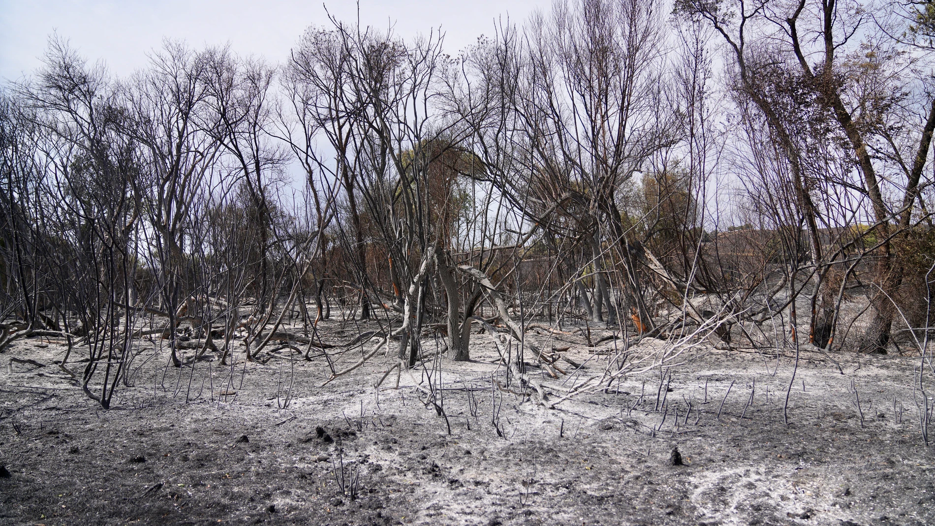 Incendio en Tres Cantos