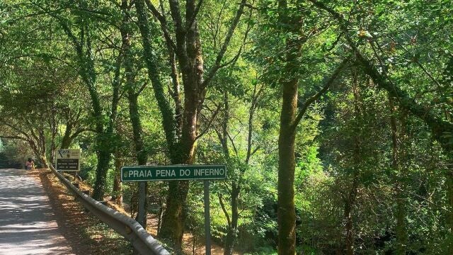 «Disfrutar de la libertad horaria, la naturaleza, del río que te hiela el cuerpo y de los helados del bar de la playa fluvial...»