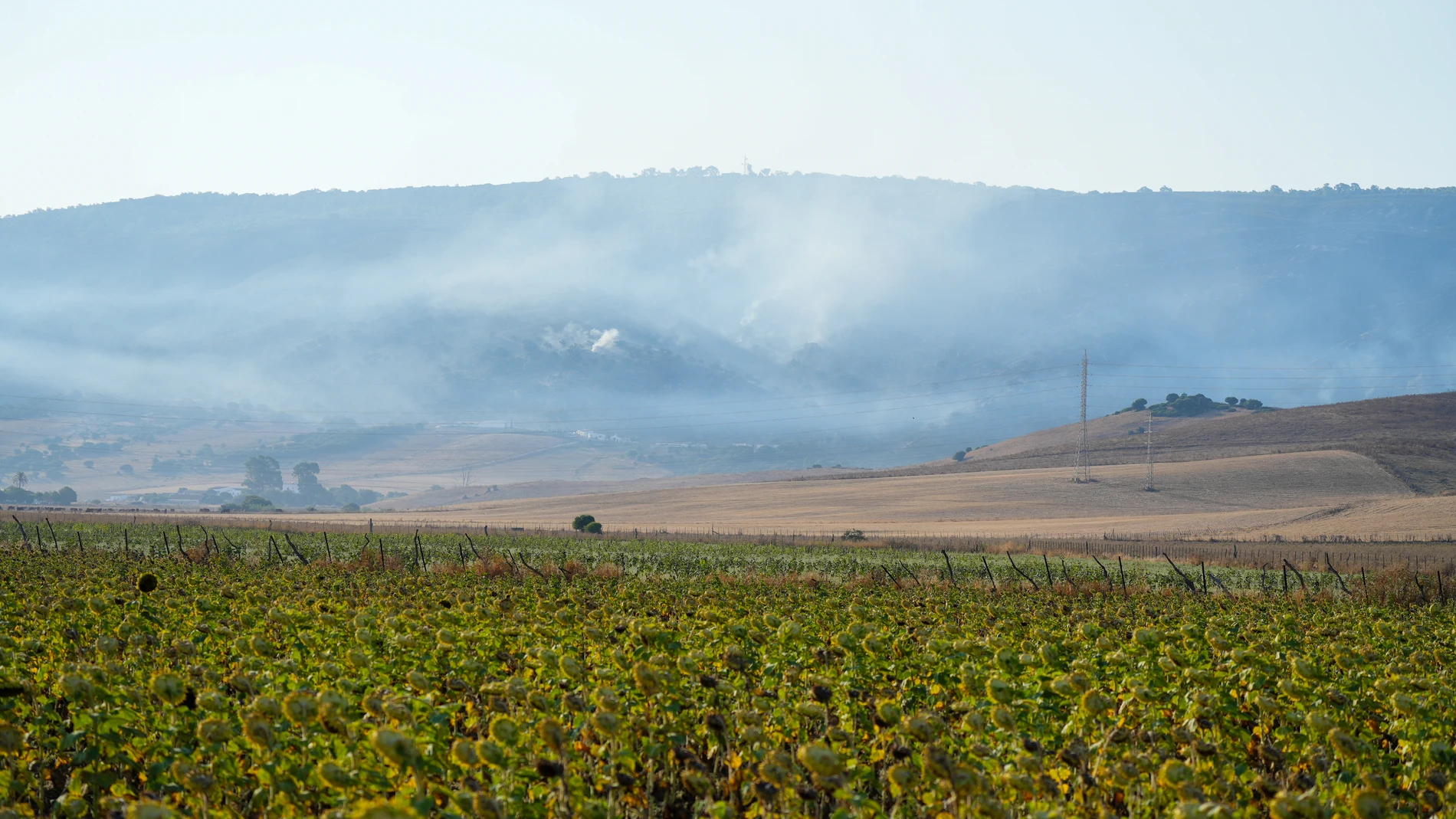 Cuatro medios aéreos se incorporan a la zona del incendio de Tarifa. A12 de agosto de 2025. en Tarifa, Cádiz (Andalucía, España). Tras la reunión del Comité de Operaciones del Plan de Emergencia contra Incendios, el consejero de Presidencia, Antonio Sanz, reconocía el "gran trabajo" realizado por el dispositivo del Plan Infoca. También destacaba la labor de los bomberos, quienes, en coordinación con Infoca, trazaban una línea de seguridad en torno a las viviendas para protegerlas del avanc...