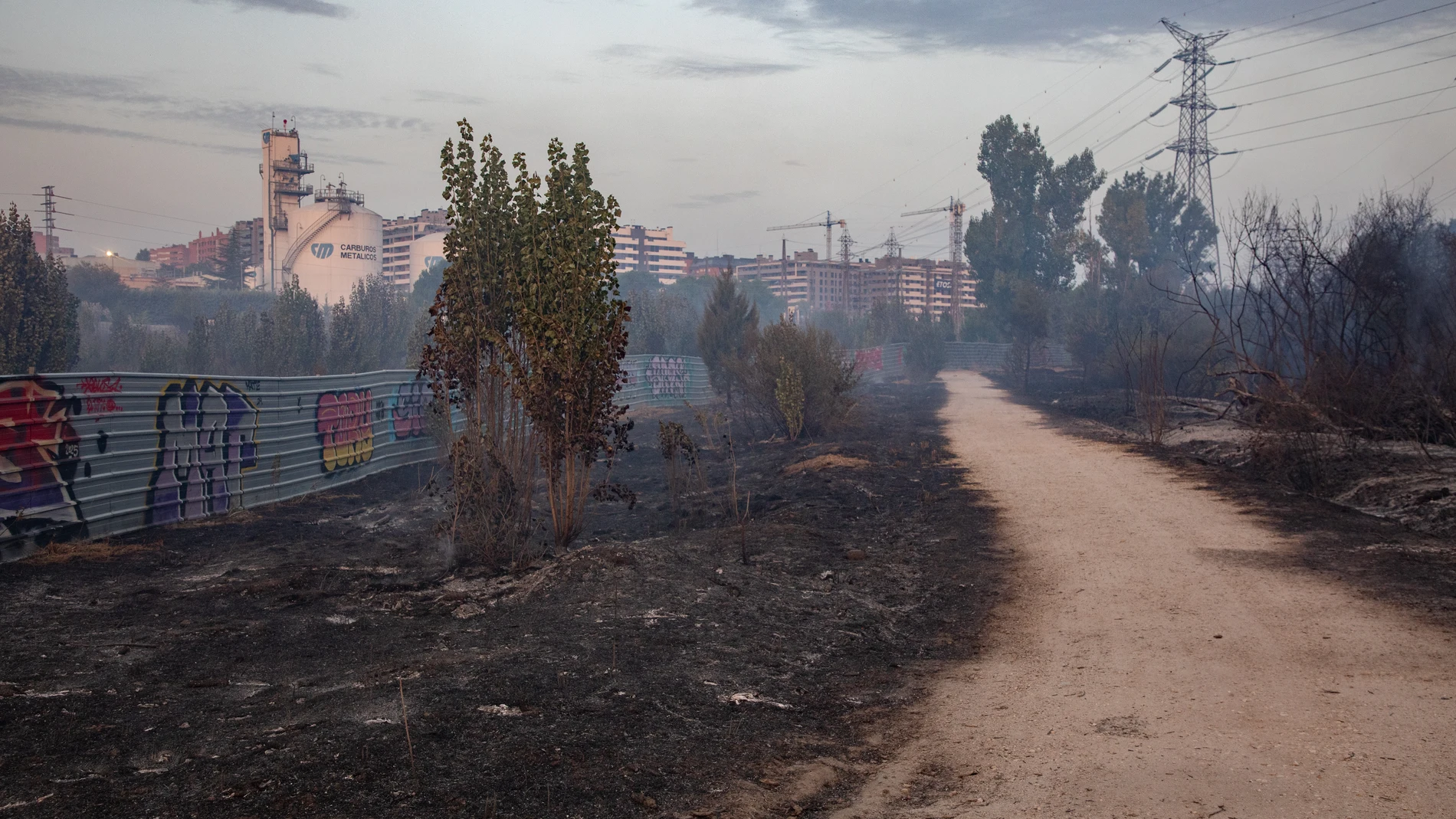Campo quemado por el incendio, a 12 de agosto de 2025, en Tres Cantos, Madrid (España). El incendio de vegetación registrado a última hora de la tarde de este lunes, 11 de agosto, en Tres Cantos ha evolucionado favorablemente durante la noche y está perimetrado, según los servicios de Emergencias de Madrid. El incendio obligó ayer a desalojar las urbanizaciones de Soto de Viñuelas y Fuente El Fresno evacuando 180 personas. Se han sumado 11 dotaciones de bomberos del Ayuntamiento de Madrid, la...