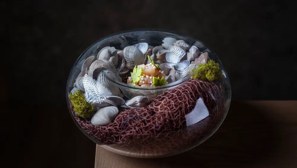 Gastronomía en Nintai