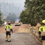Bomberos del Consorcio Provincial colaborando en las tareas de extinción del incendio de Los Romero, en Jabugo (Huelva).