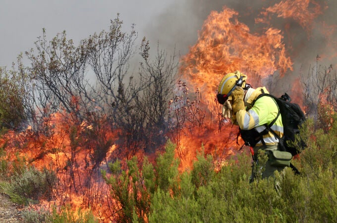 Incendio en Puercas (Zamora) en la Sierra de la Culebra