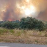Sucesos.- Noche "favorable" en el incendio de Yeres (León) con casi el 80% del perímetro controlado