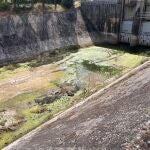 Canal del trasvase.