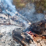Extinguido un pequeño incendio junto al parking de Cercanías de La Serna, en Fuenlabrada