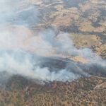 Parte del incendio en Navalmoralejo (Toledo) 